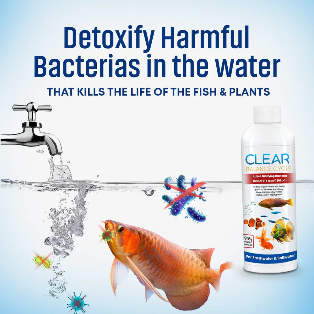 Automatic Fish Tank Purifier & Cleaner | 🔥Buy 1 Get 2 Free🔥